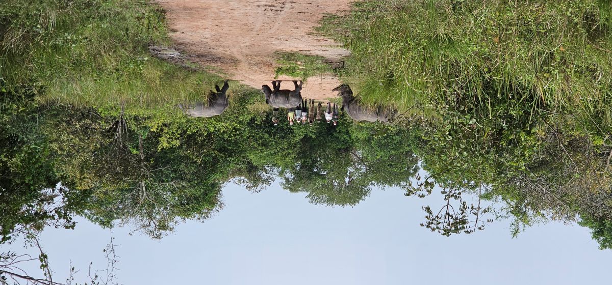 Ziwa Rhino Sanctuary Experience