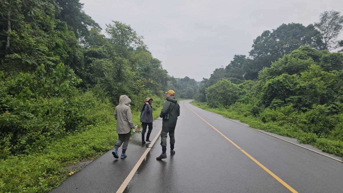 Birding Walk at Budongo Forest
