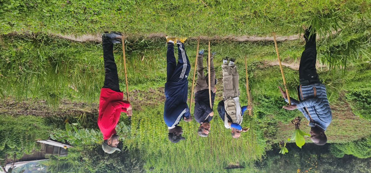 Forest Walk in Bwindi